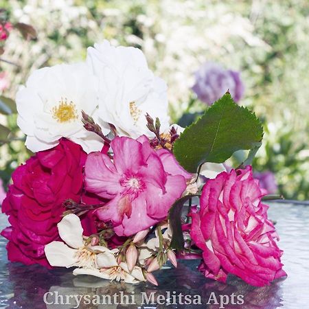 Chrysanthi Melitsa Apts. Sidárion 외부 사진