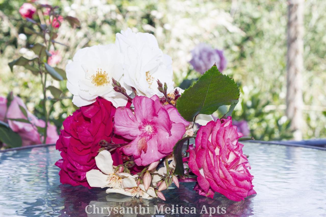 Chrysanthi Melitsa Apts. Sidárion 외부 사진